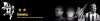 $Banner.jpg