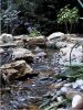 $Williams%20Stream%20Outlet%201.jpg