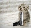 $guntohead1.jpg