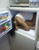 $FREEZER.jpg
