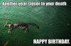 $another_year_closer_to_your_death_happy_birthday_trollcat-e1274919848140.jpg