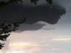 $20180208_062851.jpg