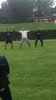 JJ7RWzv.gif