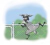 $goat-escaping-color-2.jpg