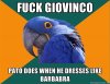 $giovinco-parrot.jpg