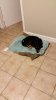 $IMG-20140706-WA0000.jpg