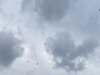 IMG_3933.jpeg