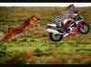 $ImageUploadedByTapatalk1429894688.539121.jpg