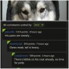 $uploadfromtaptalk1433154214216.jpg