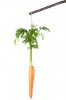 $Dangling-Carrot-on-a-Stick.jpg