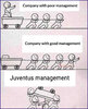 FB_IMG_17473724232101.jpg