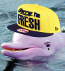 $Völlphin.png