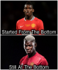 $pogba.png