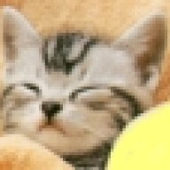 Meow