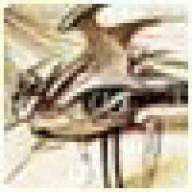 dkds00p
