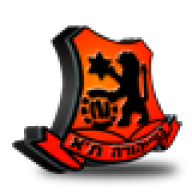 Orange_Lion