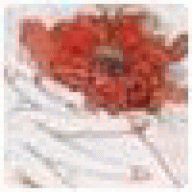 Hofemufffeawl