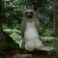 Tanuki