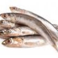 Remiggio