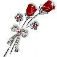 rrrosebudd